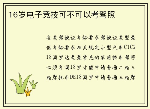 16岁电子竞技可不可以考驾照